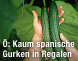 Hände mit Gurken