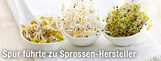 Sch&uuml;ssel mit Sojasprossen