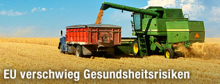 Mähdrescher auf einem Weizenfeld