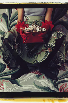 © Vicki Lee Ragan/1983/Sammlung WestLicht In Blumenmuster gekleidete Frau, vor Tapete mit Blumenmuster, hält mit Fröschen gefüllte Handtasche