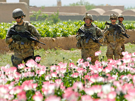 © Reuters/Bob Strong US-Soldaten in Afghanistan gehen an einem Mohnfeld vorbei.