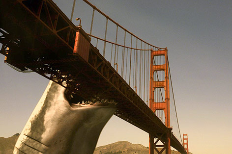 © The Asylum Ein gigantischer Hai beißt in die Golden Gate Bridge in San Francisco