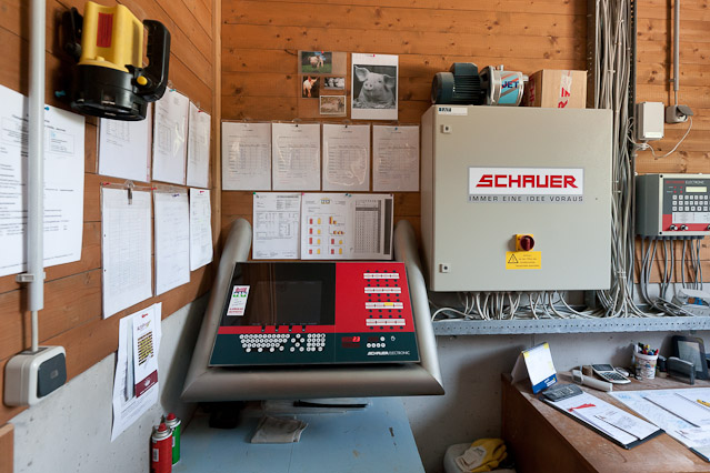 © ORF.at/Roland Winkler Eindrücke aus der Schweinemast