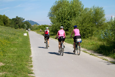 © ORF.at/Kaja Stepien Radfahrer auf der Wiener Donauinsel