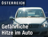 Sonne spiegelt sich im Auto