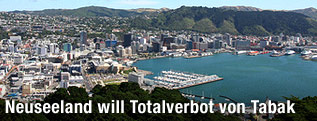 Hafen von Wellington