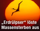 Flugsaurier vor untergehender Sonne