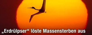 Flugsaurier vor untergehender Sonne