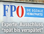 Ausschnitt aus FP&Ouml;-Plakat