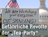 Tea-Party-Anh&auml;nger mit Transparenten vor dem Kapitol in Washington D.C.