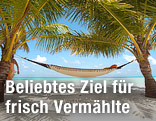 Hängematte zwischen zwei Palmen auf einem Strand