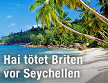 Strand mit Palmen auf den Seychellen