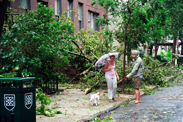 © APA/EPA/John G. Mabanglo New Yorker begutachten Sturmschäden