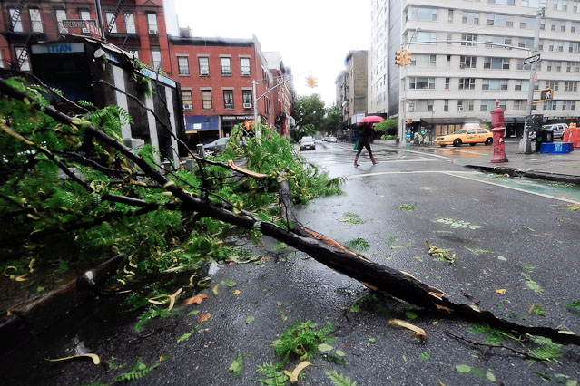 © APA/EPA/Matt Campell Umgestürtzter Baum in der Greenwich Avenue, N.Y.
