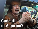 Libyscher Machthaber Gaddafi in einem Auto