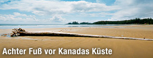 Strand in Tofino, British Columbia, Canada