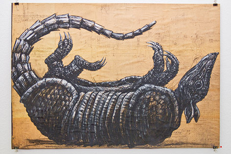 © ORF.at/Dominique Hammer Skizze des Streetart-Künstlers ROA zeigt ein Gürteltier