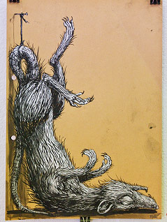 © ORF.at/Dominique Hammer Skizze des Streetart-Künstlers ROA zeigt eine Ratte