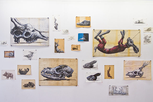 © ORF.at/Dominique Hammer An einer Wand hängen mehrere Skizzen des Streetart-Künstlers ROA