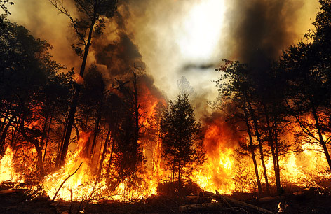© APA/EPA/Larry W. Smith Großflächig brennender Wald