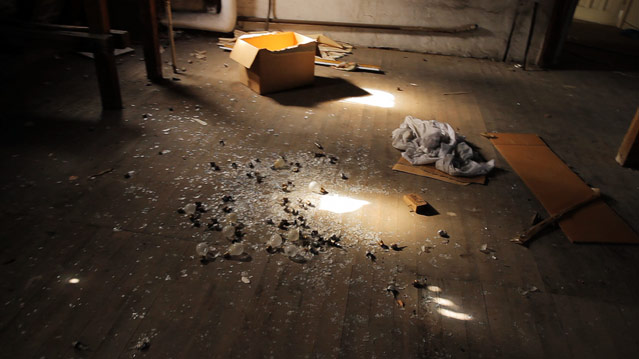 Filmszene von "Bulb Fiction"