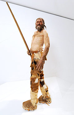 © APA/Robert Parigger Nachbildung des Ötzi im Archäologiemuseum in Bozen