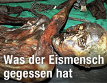 Die Gletschermumie "Ötzi" kurz nach ihrem Fund 1991