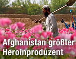 Arbeiter auf Mohnfeld in Afghanistan
