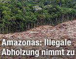 Teils abgeholzter Regenwald in Brasilien