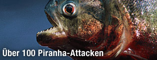 Piranha