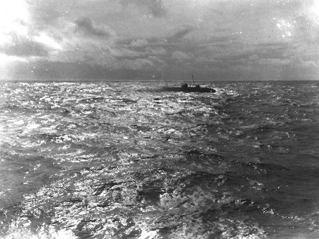 © Ohio State University Libraries Die Nautilus im Wasser