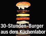The Mushroom Swiss Burger