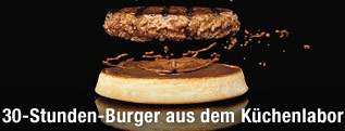 The Mushroom Swiss Burger