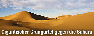 Wüstenlandschaft