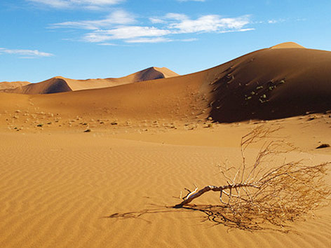 © Fotolia/barantza Wüstenlandschaft