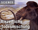 Zeichnung eines Mammuts