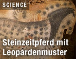 Steinzeitpferd