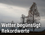 Graue Landschaft