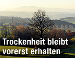 Landschaft in der Abendsonne