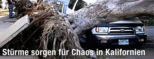 Ein unter einem Baum begrabenes Auto