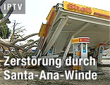 Zerstörte Tankstelle und umgestürzter Baum