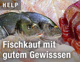 Rohe Fische