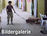 Die Soldatin Lynndie England f&uuml;hrt im Gef&auml;ngnis von Abu Ghraib einen Gefangenen an der Leine