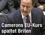 Der englische Premierminister David Cameron