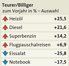 © APA/Rainer Waxmann Grafik zur Inflation