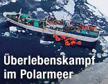 Luftaufahme des russischen Frachters Sparta im Polarmeer