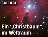 Sternenhaufen