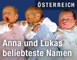 Drei Babies