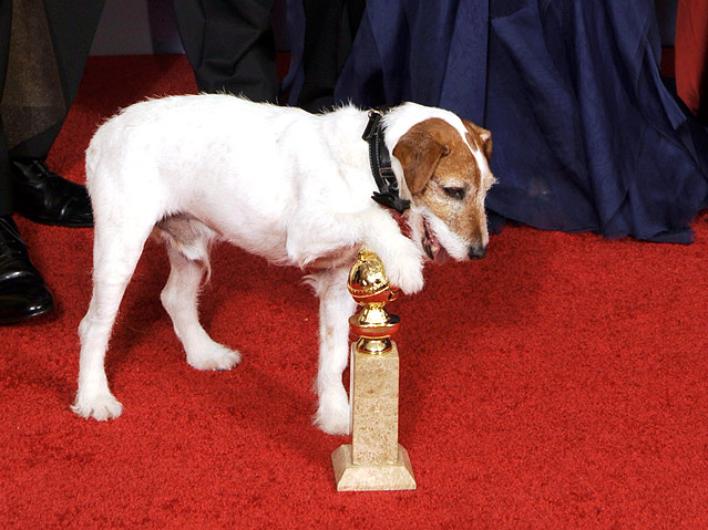Uggie, the Dog, aus "The Artist"