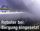 Unterwasseraufnahme vom Wrack
